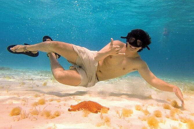 El Cielo Cozumel Snorkeling tour by Private Boat - Should you book the El Cielo private boat?