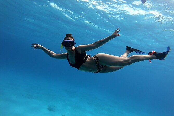 El Cielo Cozumel Snorkeling tour by Private Boat - What the reef stops can offer