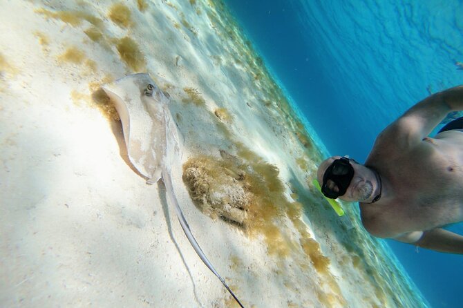 El Cielo Cozumel Snorkeling trip by Catamaran - The crew can make or break the day
