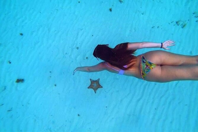 El Cielo Cozumel Snorkeling trip by Catamaran - El Cielo and El Cielito: shallow water, starfish and rays