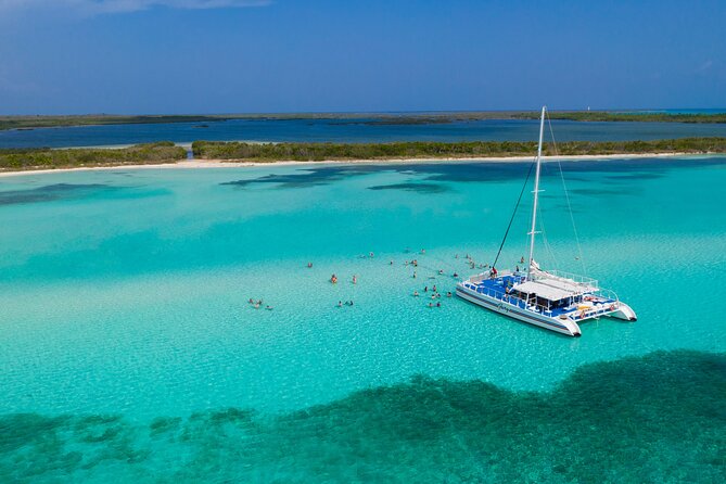 El Cielo, Palancar Snorkel & Beach Party Experience - From downtown pier to open water