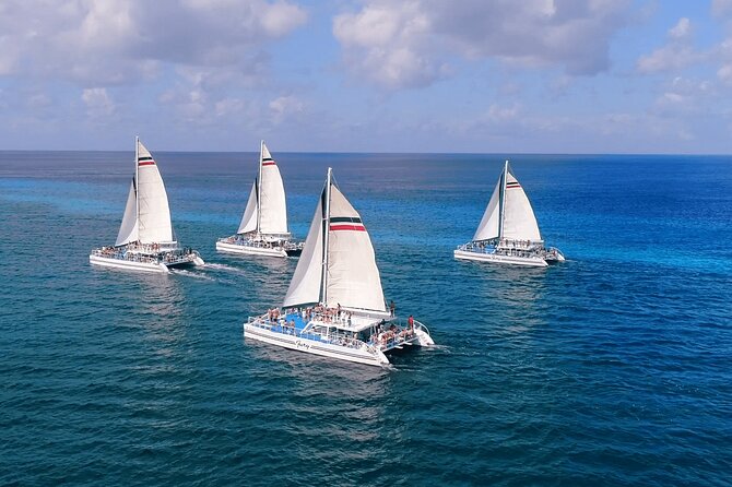 El Cielo, Palancar Snorkel & Beach Party Experience - Drinks, music, and the ride back