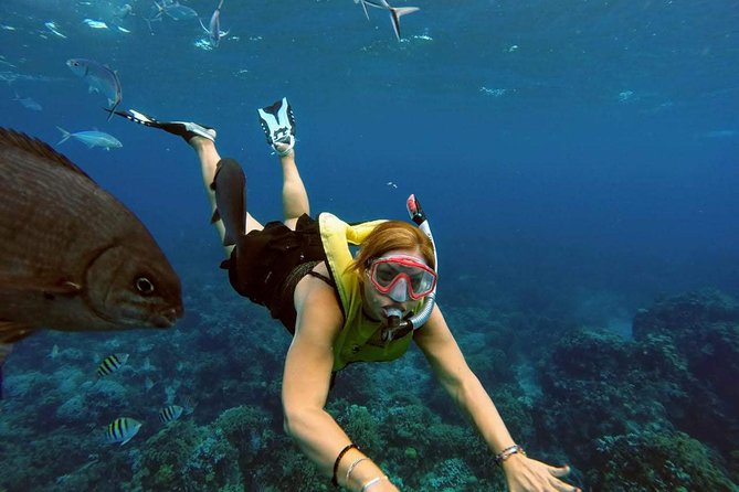 El Cielo Snorkel by Private Boat - Getting to the boat and making the timing work