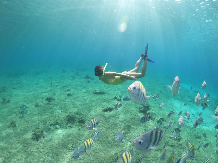 From Cozumel: 3 Reefs Boat Tour with Drinks and Snorkeling - Guides, safety, and the best fit for beginners