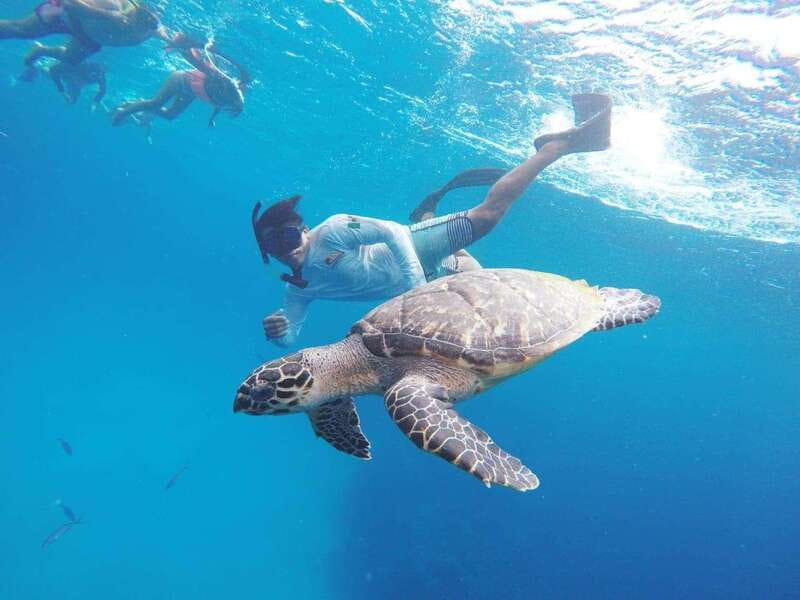From Cozumel: 3 Reefs Boat Tour with Drinks and Snorkeling - What happens on the water