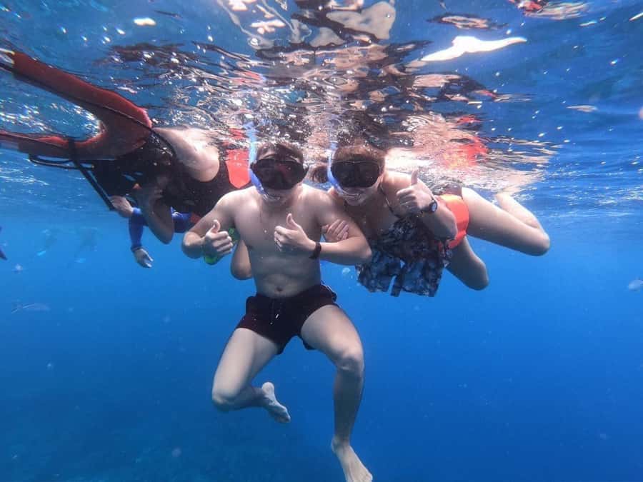 From Cozumel: Starfish, Stingrays and the Turtle Sanctuary - El Cielito and Cozumel’s turtles and rays