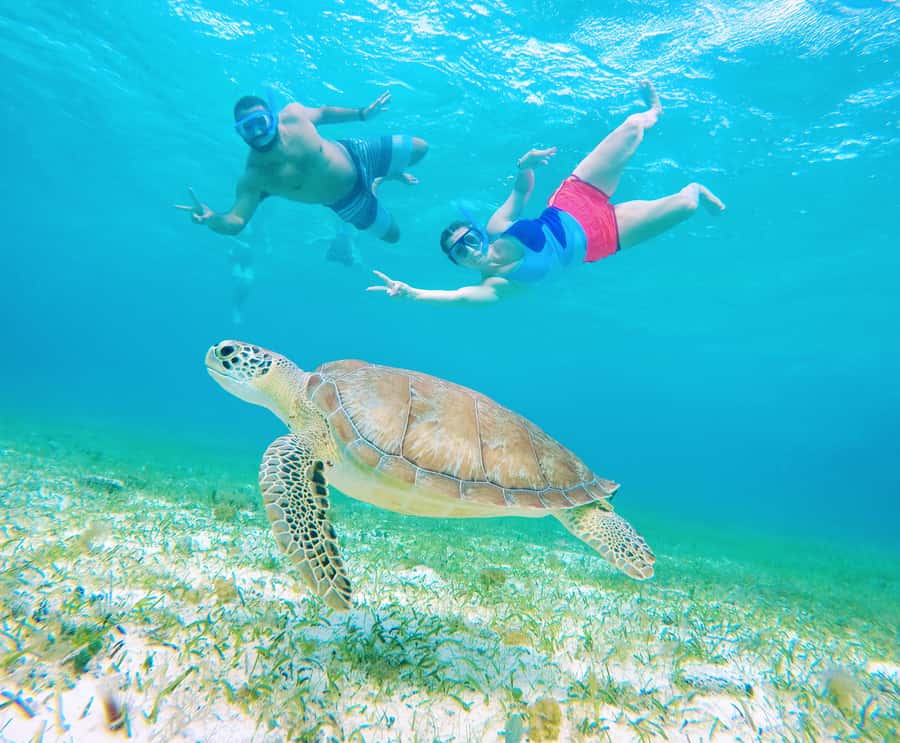 From Cozumel: Starfish, Stingrays and the Turtle Sanctuary - The snack break, drinks and what the price covers
