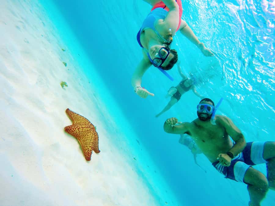 From Cozumel: Starfish, Stingrays and the Turtle Sanctuary - From Marina Asipona to the snorkeling grounds