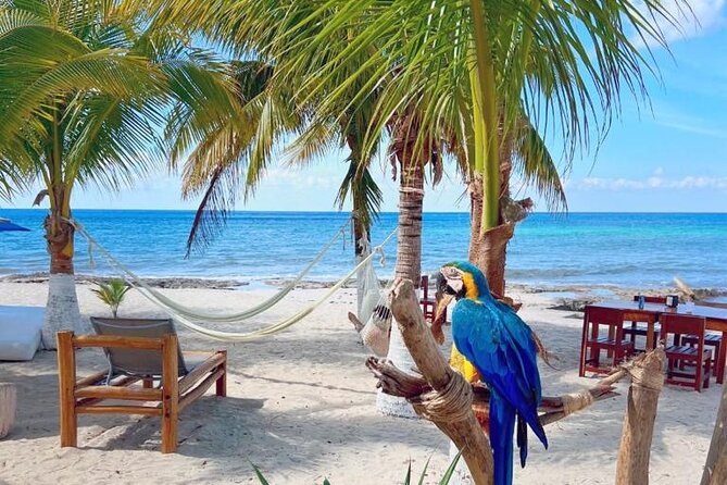 Half-Day Island Tour with Mayan Experience & Beach Break - San Martín: a short pause by the sea