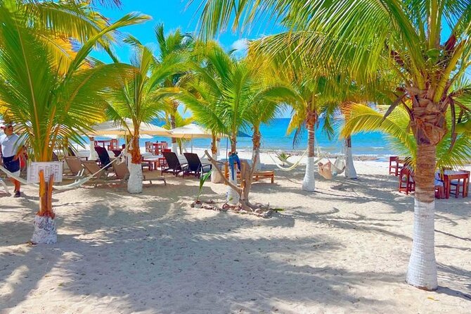 Half-Day Island Tour with Mayan Experience & Beach Break - Palm Beach: the main stretch of beach time