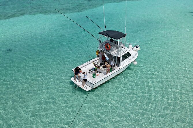 Half Day Private Fishing Charter in Cozumel - Who will enjoy this charter most