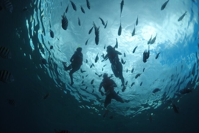 Invisible Boat Snorkeling Tour - What the 95-minute route can really cover