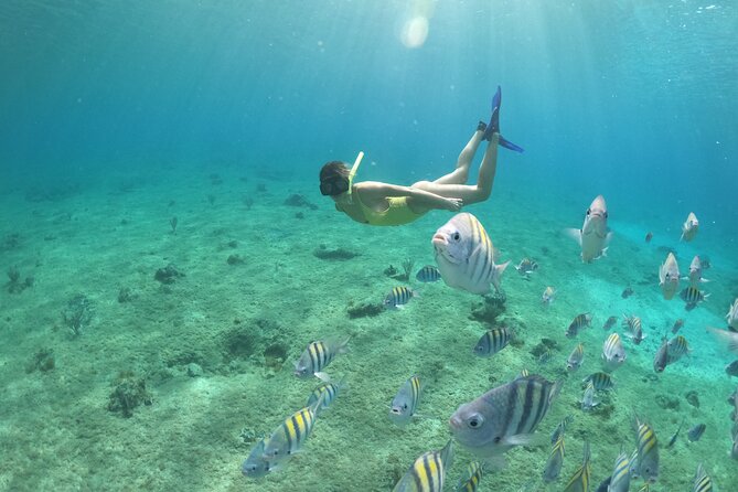 Invisible Boat Snorkeling Tour - FAQ