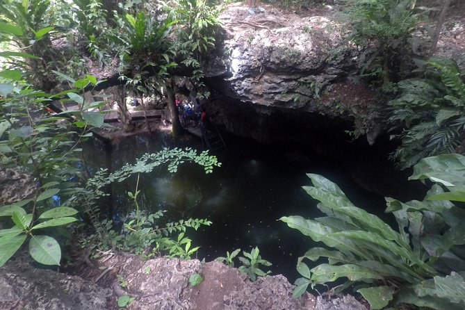 Jungle Jeep Adventure to Mayan Caves, Cenote and Snorkel - Dzul Ha Reef: a welcome change of pace
