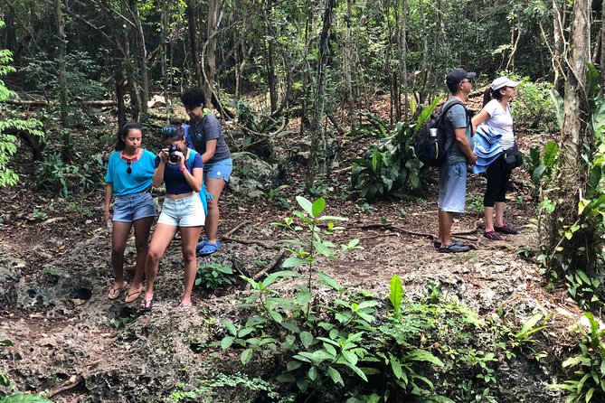 Jungle Jeep Adventure to Mayan Caves, Cenote and Snorkel - The rough road and the practical details
