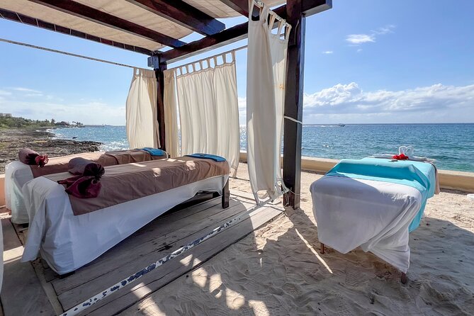 Money Bar Day Pass with Snorkel & Mexican Lunch - A guided snorkel, with one caveat