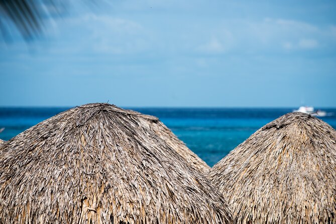 Mr. Sanchos Beach Club All-Inclusive Day Pass - Buffet meals, pool bars and the value of the open bar