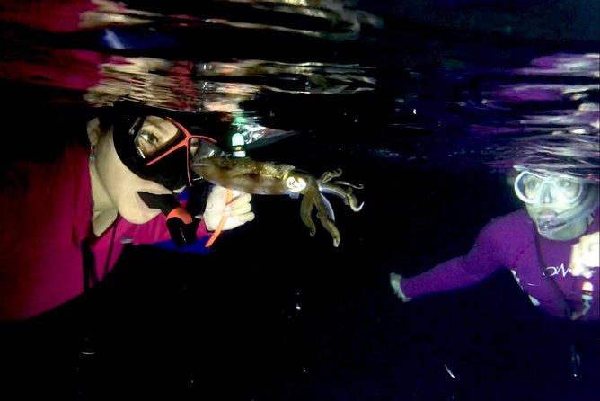 Night Snorkeling - Observation of octopus and other species - The animals, and what makes night different