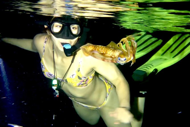 Night Snorkeling - Observation of octopus and other species - What an hour in the water feels like