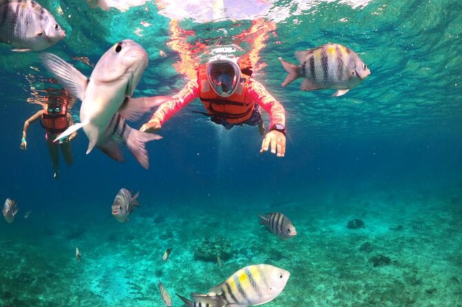 Official Chankanaab Park Day pass and Snorkel with Lunch included - What you get for your park admission
