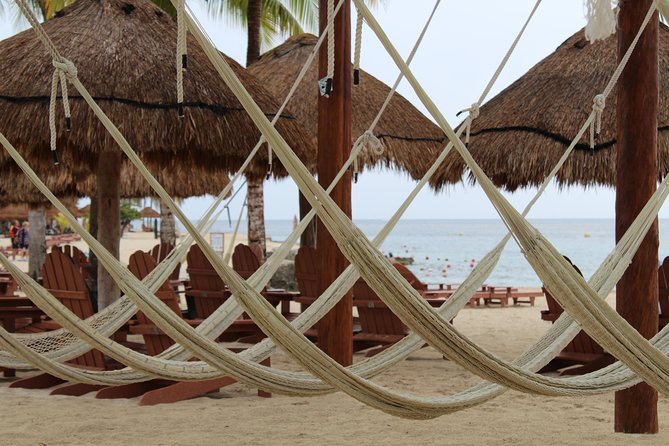 Official Chankanaab Park Day pass and Snorkel with Lunch included - Getting there and making the day run smoothly