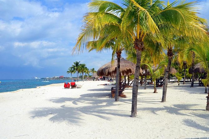 Official Chankanaab Park Day pass and Snorkel with Lunch included - Who will enjoy this package most