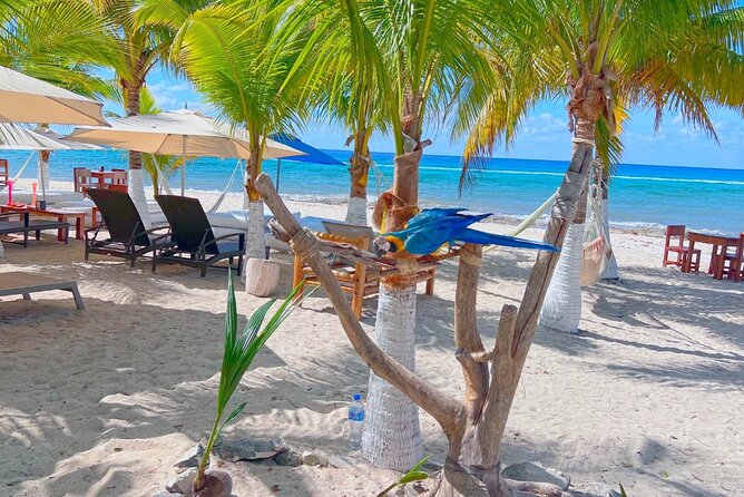 Otoch Mayan Experience Tour: Cultural & Historical Adventure - Guides, transport and the value of the day