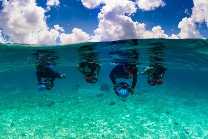 Power Snorkel by Sea Scooter & Flavored Tequila tasting - Fish, rays and wrecks depend on the day