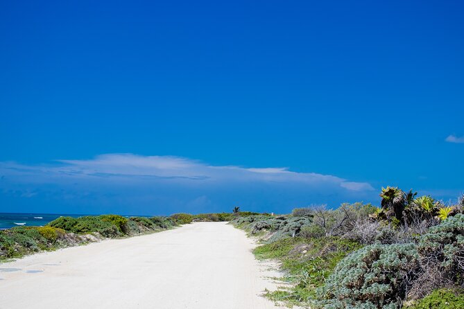 Private Buggy Tour and Punta Sur Park: All-Inclusive - El Mirador and Playa San Martín: brief coastal pauses