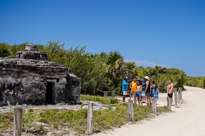 Private Buggy Tour and Punta Sur Park: All-Inclusive - Buggy comfort and safety deserve a check