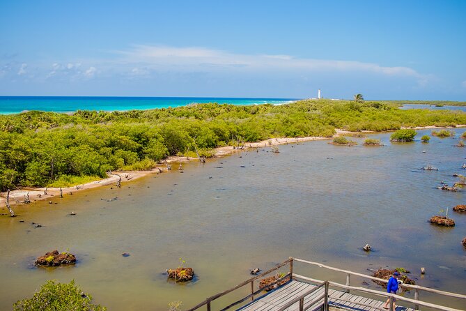 Private Buggy Tour and Punta Sur Park: All-Inclusive - What the $89.99 price covers, and what it does not