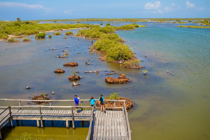 Private Buggy Tour and Punta Sur Park: All-Inclusive - FAQ
