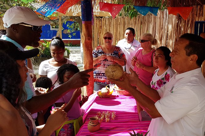 Private Island Tour at Your Leisure - Should you book this Cozumel tour?