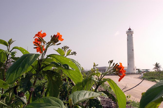 Private Island Tour at Your Leisure - The east coast: views, beach stops, and time to linger