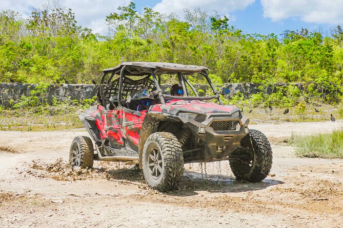 Private Jeep and 4x4 Polaris RZR Tour with Mexican Lunch - A Cozumel day built around the east coast