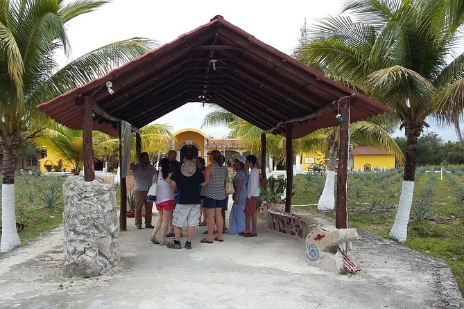 Private Jeep Excursion in Cozumel with Lunch and Snorkeling - Lunch, tastings, and the extras to watch