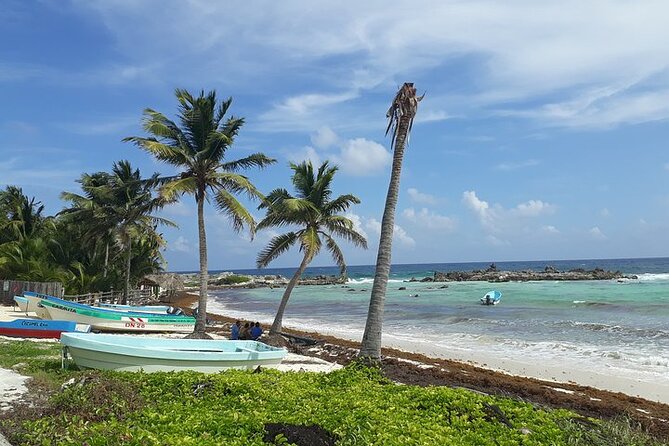 Private Jeep Tour in Cozumel - Along Cozumel’s rugged east coast