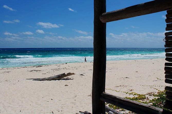 Private Jeep Tour in Cozumel - San Miguel and the optional tequila stop