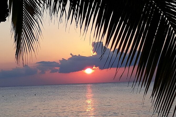 Private Jeep Tour in Cozumel - Price, timing, and cruise-port planning