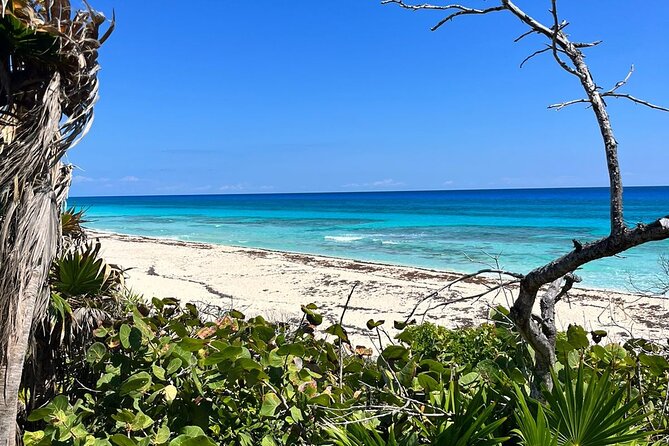 Private Mayan Ruins Tour with Cenote/caves and Mexican Picnic - What $107.53 buys you