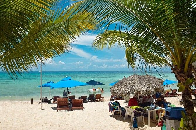 Private Tour: 5-Hour Cozumel Sightseeing with Private Driver and Tequila Tasting - El Mirador and the east-coast photo stop