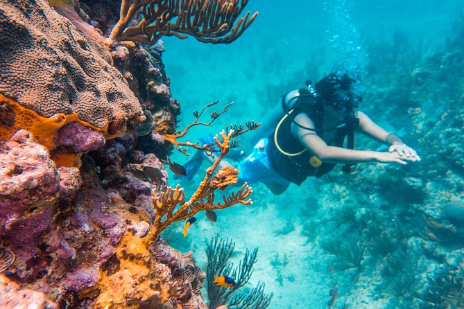 Scuba Diving in Cozumel Island - Small groups and personal instruction