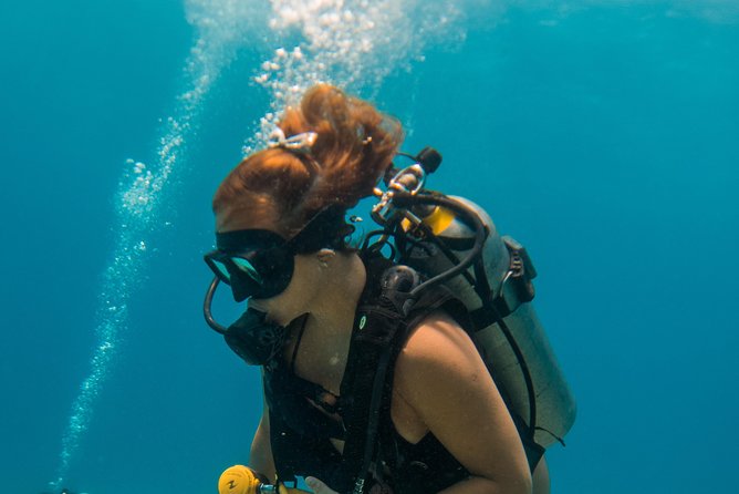 Scuba Diving in Cozumel Island - Price, equipment, and the real cost