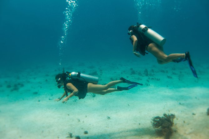 Scuba Diving in Cozumel Island - Ferry flexibility, meeting place, and timing