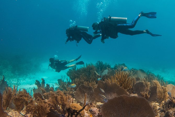 Scuba Diving in Cozumel Island - Who will get the most from this trip