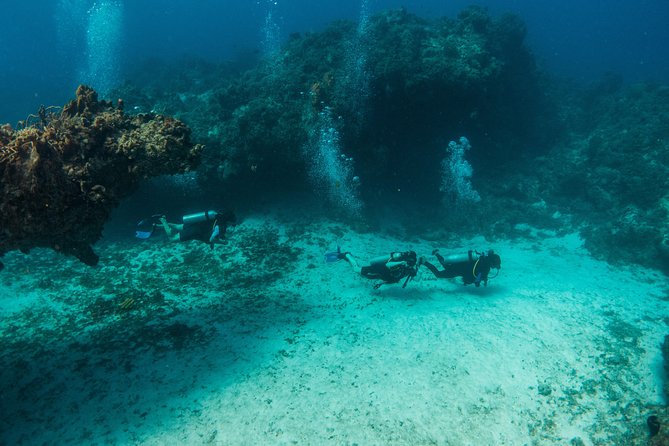 Scuba Diving in Cozumel Island - Should you book it?