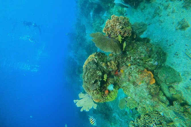 Snorkel along the coast, explore two reefs by Chivis del Mar - What the 90-minute schedule really means