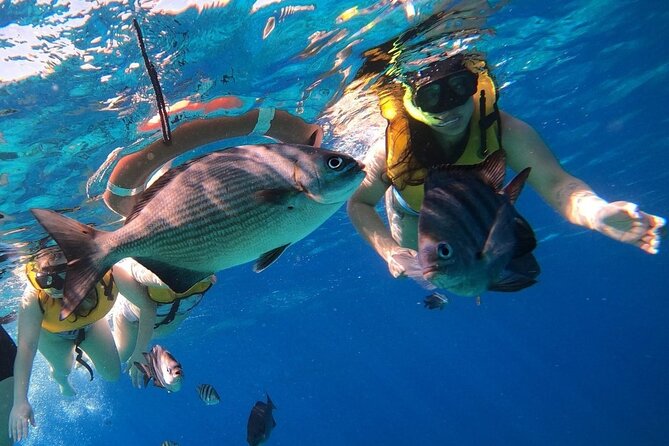 Snorkel along the coast, explore two reefs by Chivis del Mar - The $35.85 price and what it covers