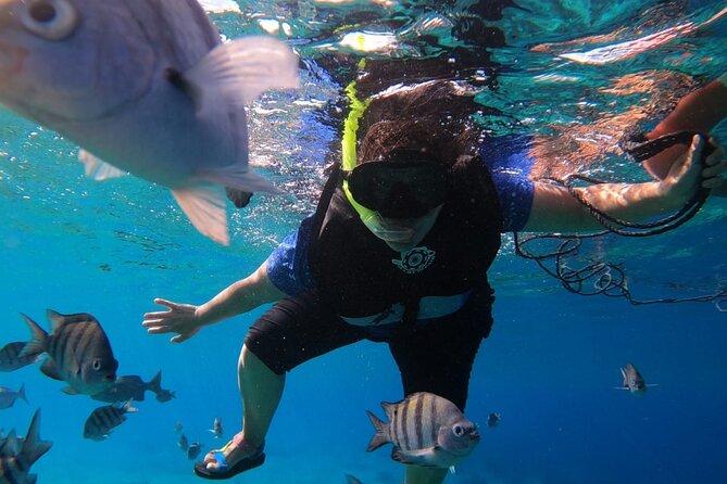 Snorkel along the coast, explore two reefs by Chivis del Mar - Sun protection, cash, and a dry change of clothes