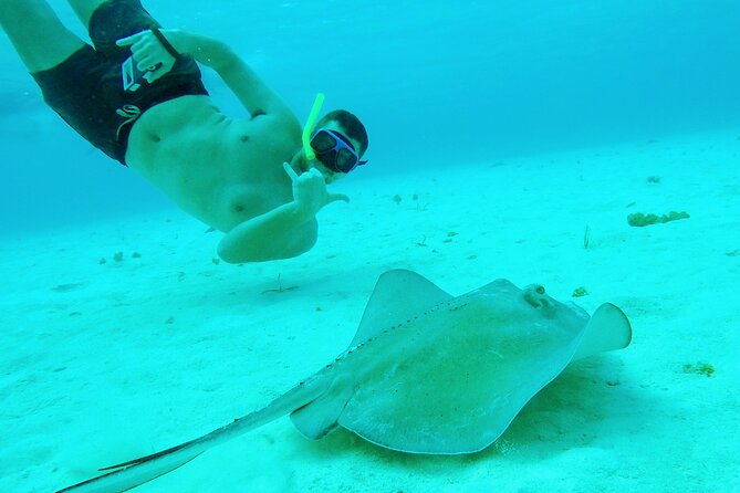 Starfish, Stingrays and the Turtle Sanctuary Snorkel Tour - A small boat, a real group limit